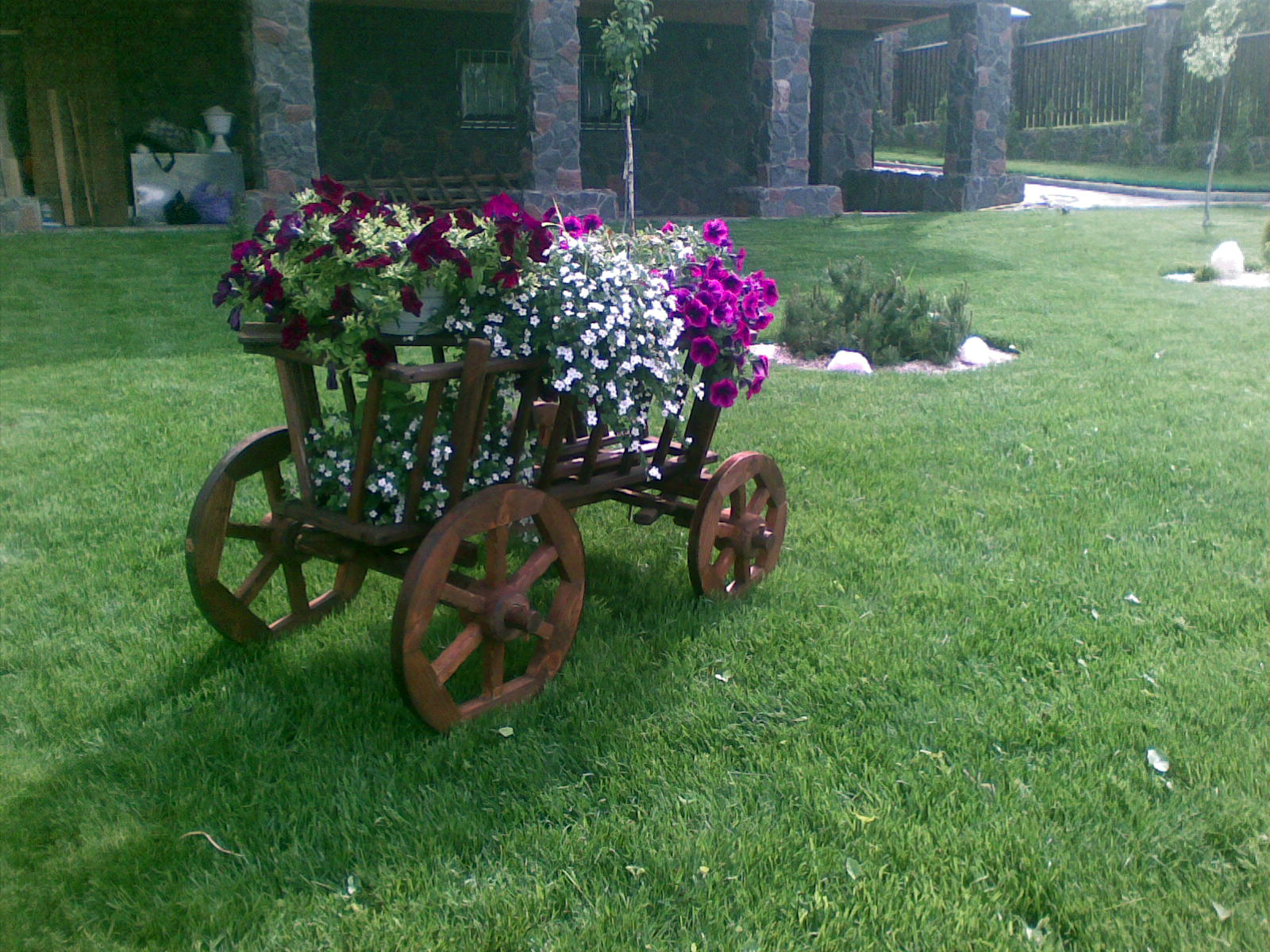 корета з квітками