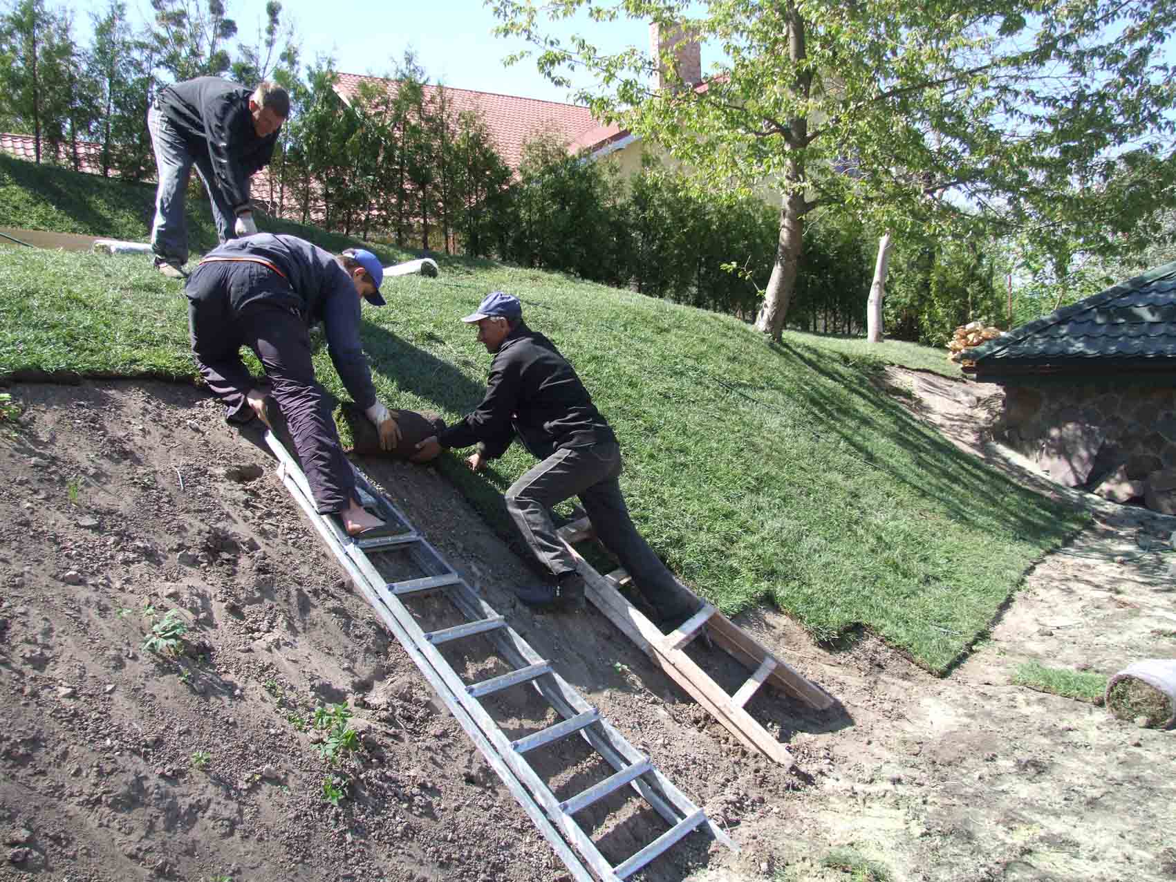 газонна трава у рулонах